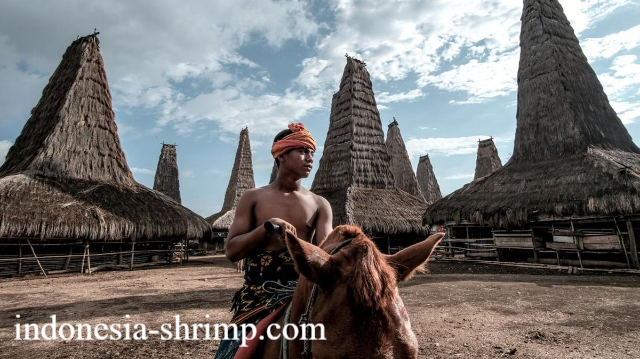 Desa Adat Ratenggaro, Sumba