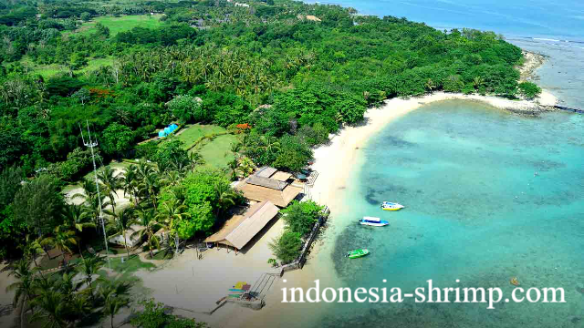 Pantai Tanjung Lesung: Surga Tersembunyi di Ujung Barat Banten